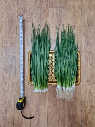 주주씨앗님의 작성글 사진