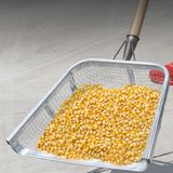 팜모닝 · 게시글 이미지