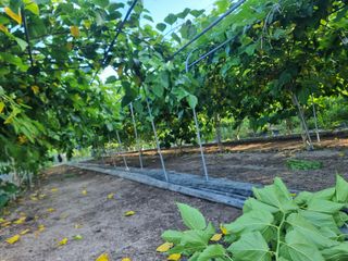 정영기대산축산농부♡님의 자유주제 · 자유게시판 작성글 사진