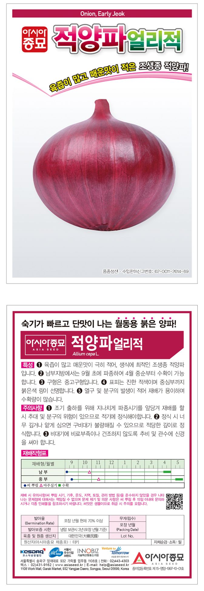 주주씨앗님의 장터 판매 상품 [적양파 얼리적 2.5g 적양파씨앗 양파종자] 첨부 사진