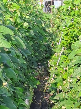 김형철님의 자유주제 · 자유게시판 작성글 사진