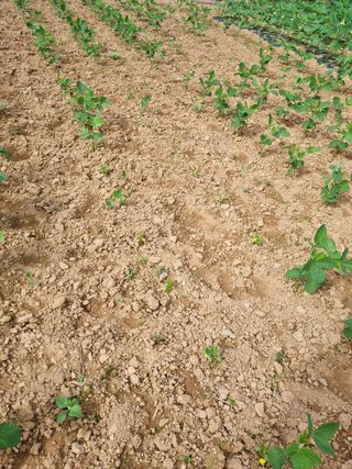 이상응님의 자유주제 · 자유게시판 작성글 사진