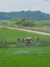 팜모닝 자유주제·사진전 게시글 이미지