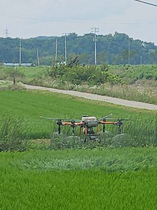 항즐인(즐거운사람)님의 자유주제 · 사진전 작성글 사진