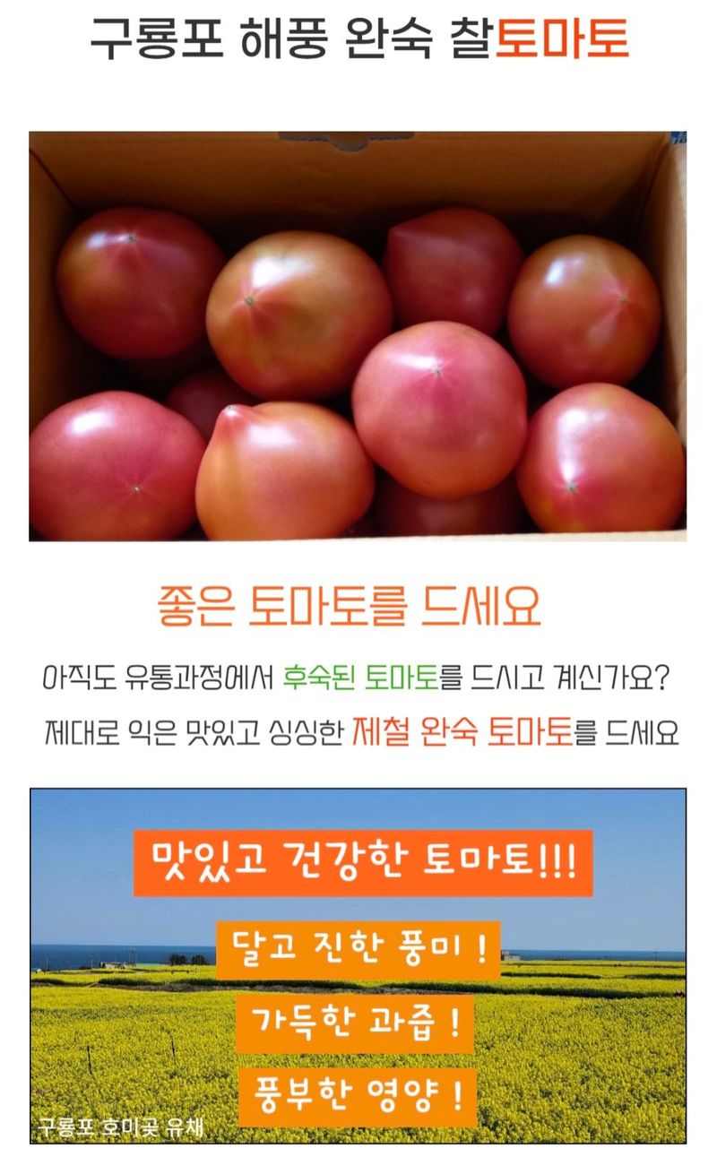 농수사님의 장터 판매 상품 [구룡포 해풍 완숙 토종 찰토마토 5kg] 첨부 사진