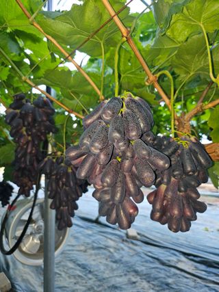 손현순님의 자유주제 · 자유게시판 작성글 사진