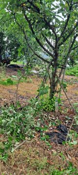 팜모닝 자유주제·자유게시판 게시글 이미지