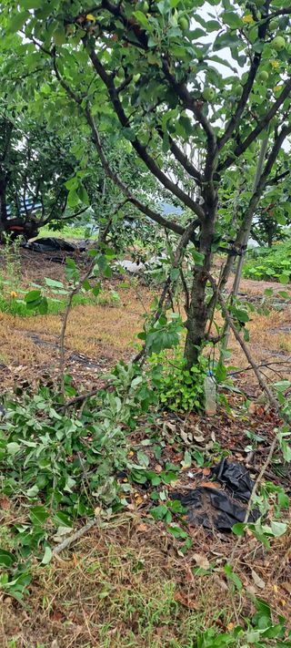 장준재님의 자유주제 · 자유게시판 작성글 사진