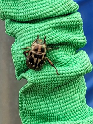 김용민님의 자유주제 · 자유게시판 작성글 사진