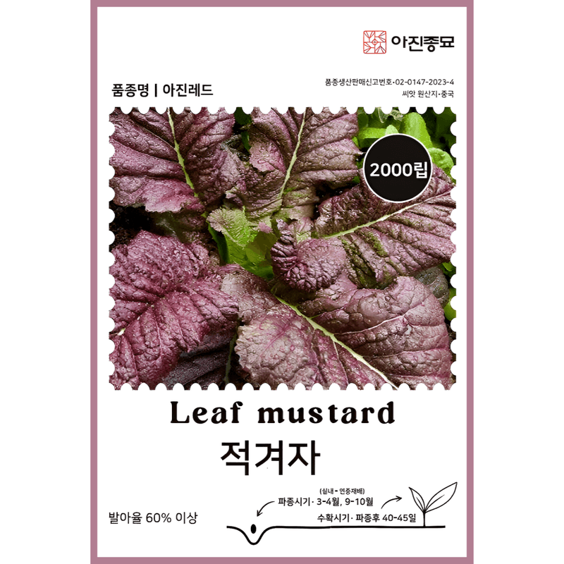 [아진] 적겨자 2000립 겨자씨앗 적겨자채 - 팜모닝