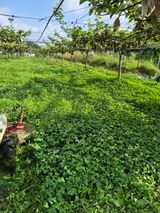 팜모닝 자유주제·자유게시판 게시글 이미지