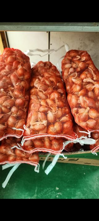 정대장님의 작성글 사진