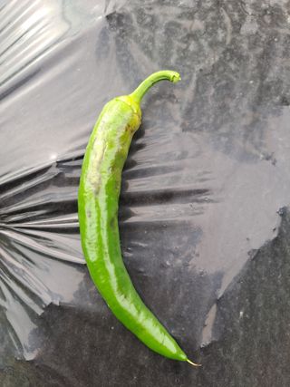 귀산촌님의 자유주제 · 자유게시판 작성글 사진