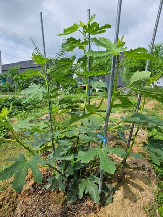 j.y.park님의 자유주제 · 자유게시판 작성글 사진