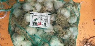 오류농원님의 작성글 사진