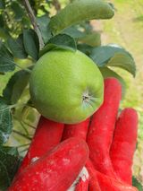 팜모닝 자유주제·자유게시판 게시글 이미지