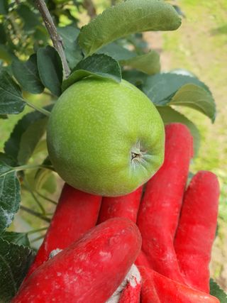 의성,군위 나상덕님의 자유주제 · 자유게시판 작성글 사진