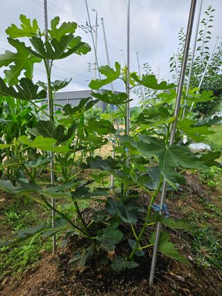 j.y.park님의 자유주제 · 자유게시판 작성글 사진