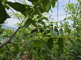 가인 5362님의 자유주제 · 자유게시판 작성글 사진