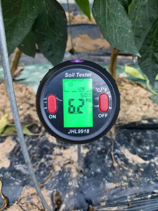 둥이농장(김준태)님의 자유주제 · 자유게시판 작성글 사진