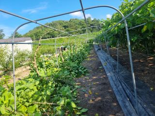 정영기대산축산농부♡님의 자유주제 · 자유게시판 작성글 사진
