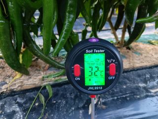 둥이농장(김준태)님의 자유주제 · 자유게시판 작성글 사진