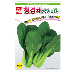 주주씨앗님의 작성글 사진