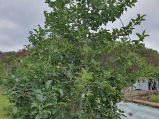 의성,군위 나상덕님의 자유주제 · 자유게시판 작성글 사진