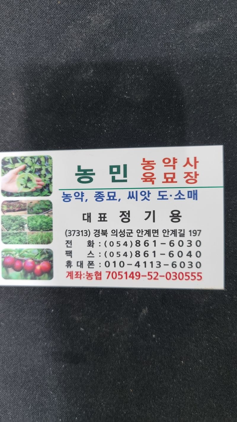 정대장님의 장터 판매 상품 [햇쪽파 5kg 이상 키로 5천원] 첨부 사진