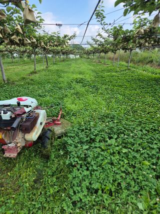 신인농원님의 자유주제 · 자유게시판 작성글 사진