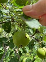 팜모닝 자유주제·자유게시판 게시글 이미지