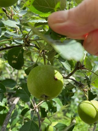이진국님의 자유주제 · 자유게시판 작성글 사진