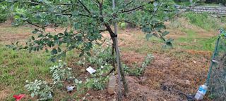 장준재님의 자유주제 · 자유게시판 작성글 사진