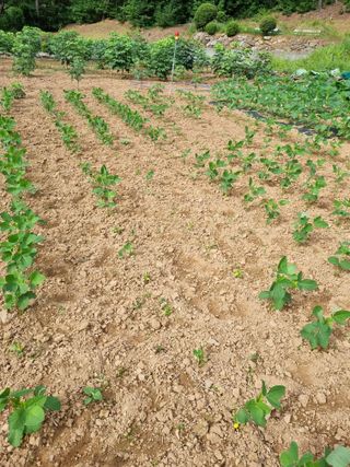 이상응님의 자유주제 · 자유게시판 작성글 사진