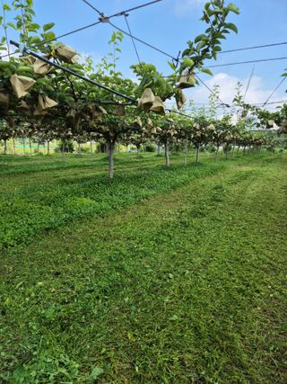 신인농원님의 자유주제 · 자유게시판 작성글 사진