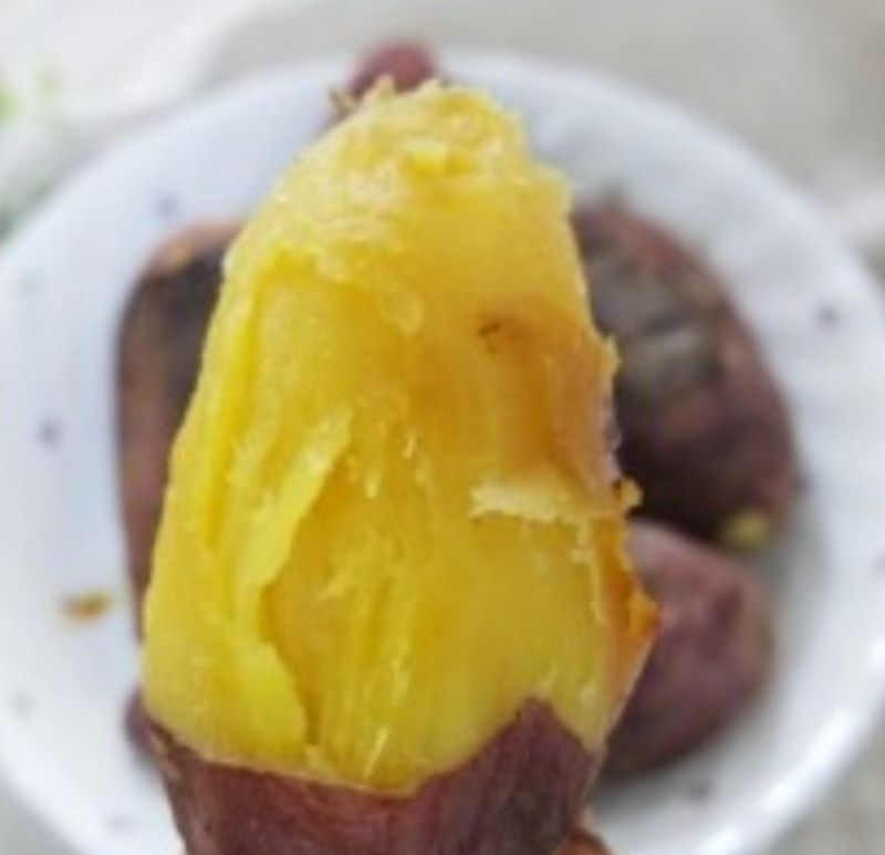 사랑꽃농장님의 장터 판매 상품 [  햇 속 노란 꿀 고구마 판매10kg35.000] 첨부 사진