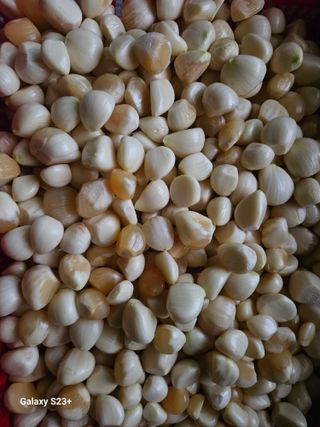 한훈영님의 자유주제 · 자유게시판 작성글 사진