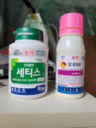 김용민님의 자유주제 · 자유게시판 작성글 사진