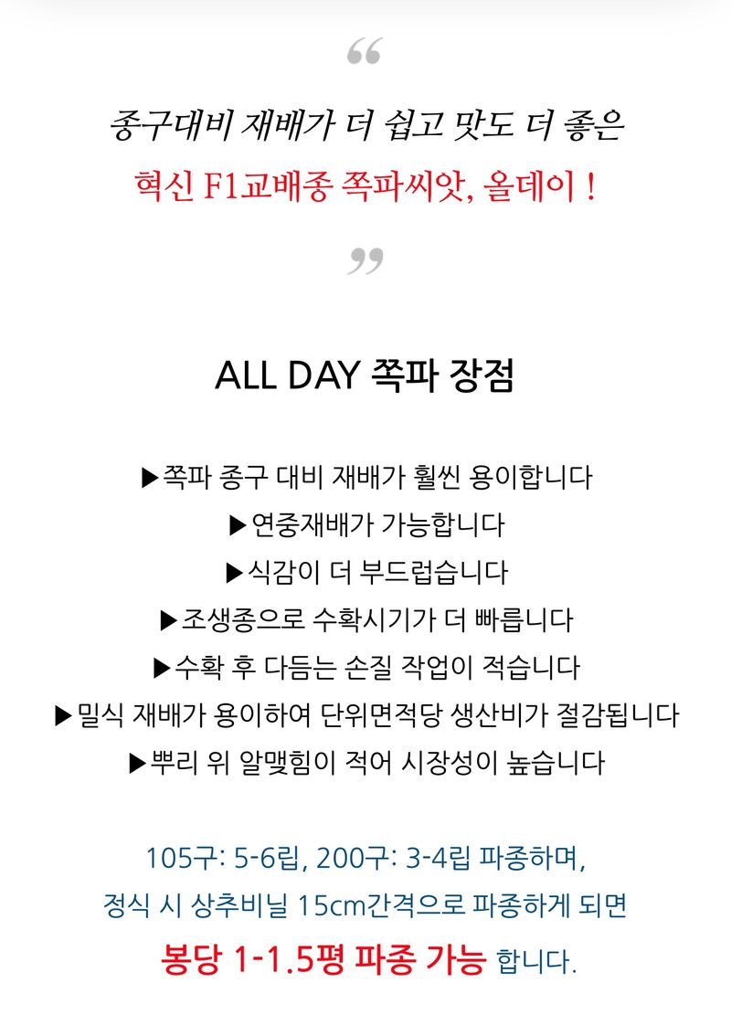 주주씨앗님의 장터 판매 상품 [F1교배종 쪽파씨 All DAY 500립 쪽파씨앗 ] 첨부 사진