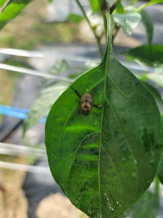 김용민님의 자유주제 · 자유게시판 작성글 사진