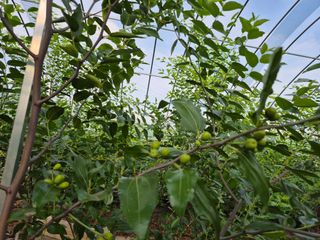 가인 5362님의 자유주제 · 자유게시판 작성글 사진