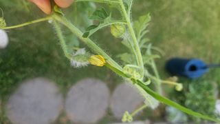 김현정님의 자유주제 · 자유게시판 작성글 사진