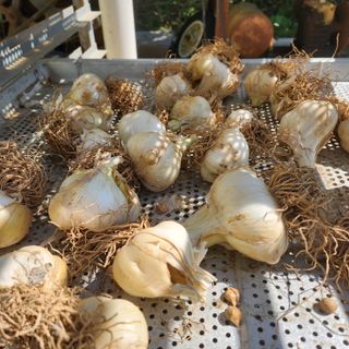 조한솔님의 작성글 사진