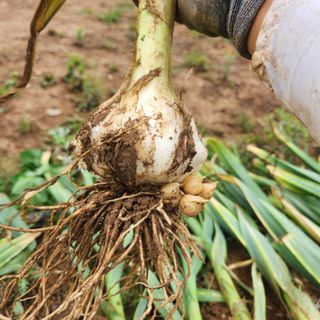 조한솔님의 작성글 사진