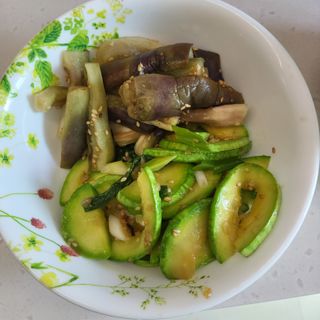 식만동 복합영농님의 자유주제 · 자유게시판 작성글 사진