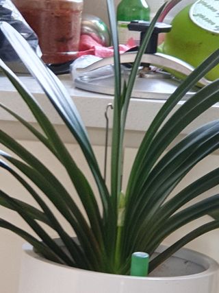 권기은님의 자유주제 · 자유게시판 작성글 사진