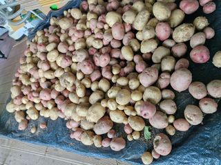 ♡5도2촌pys♡님의 자유주제 · 사진전 작성글 사진