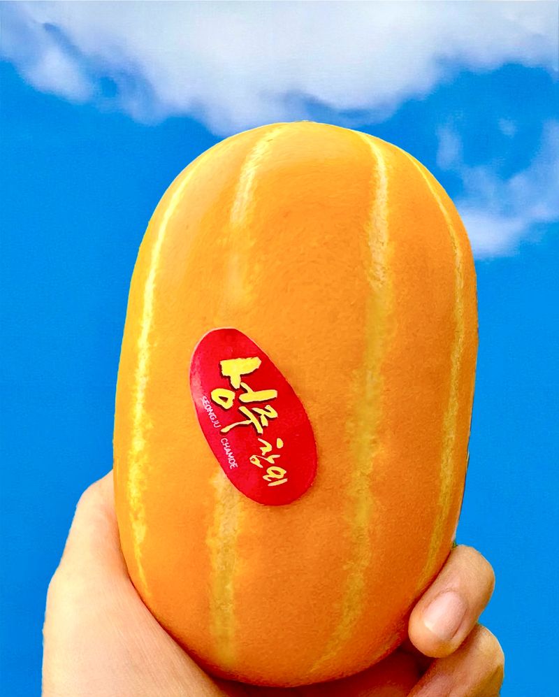 농부손녀님의 장터 판매 상품 [성주 꿀 참외 10kg 35,000원 (무료배송)] 첨부 사진