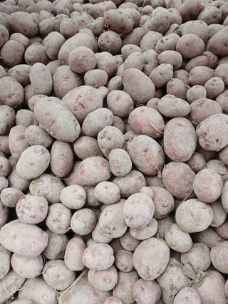 최광순님의 자유주제 · 사진전 작성글 사진