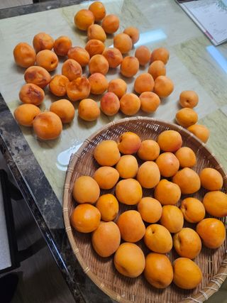 이상만님의 자유주제 · 자유게시판 작성글 사진